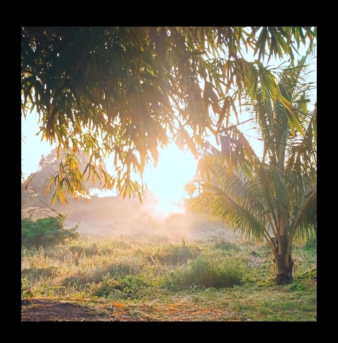 סנט-אן L'Ecrin Vert מראה חיצוני תמונה